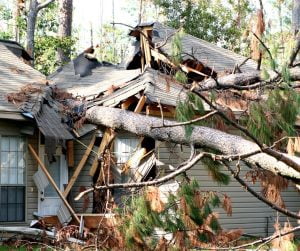 Roof Tarped Florida Ian Hurricane damage home repair roof