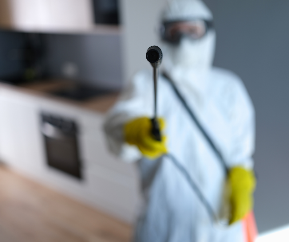 Signs Of Mold Growth Liberty Remodeling